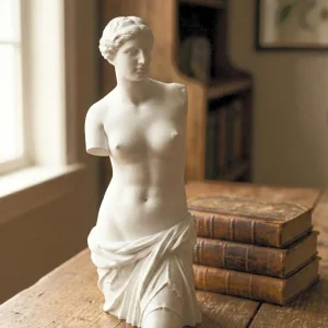 Aphrodite Statue | Venus de Milo Greek Goddess Bust | 3D Print